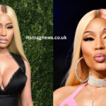 Nicki Minaj Net Worth